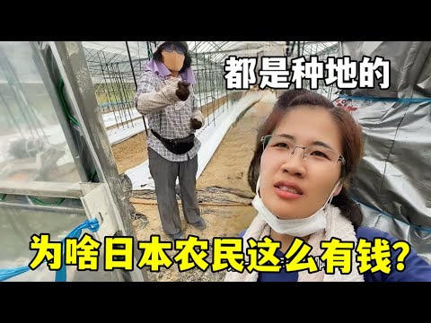 郑钦文重返,澳网女单决,力争冠军,世界杯赛程,2026世界杯,比赛时间,场地信息,赛事动态