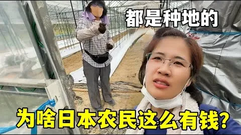 郑钦文重返澳网女单决战，力争冠军，赛事观战指南抢先看！
